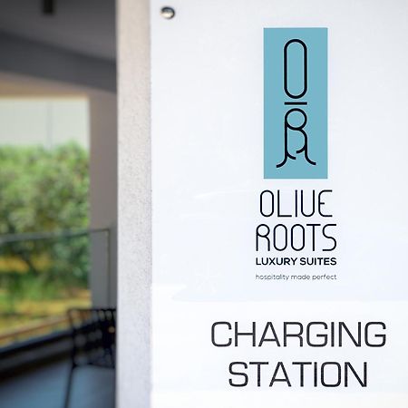 Olive Roots Hotel Skala Rachoni  Luaran gambar