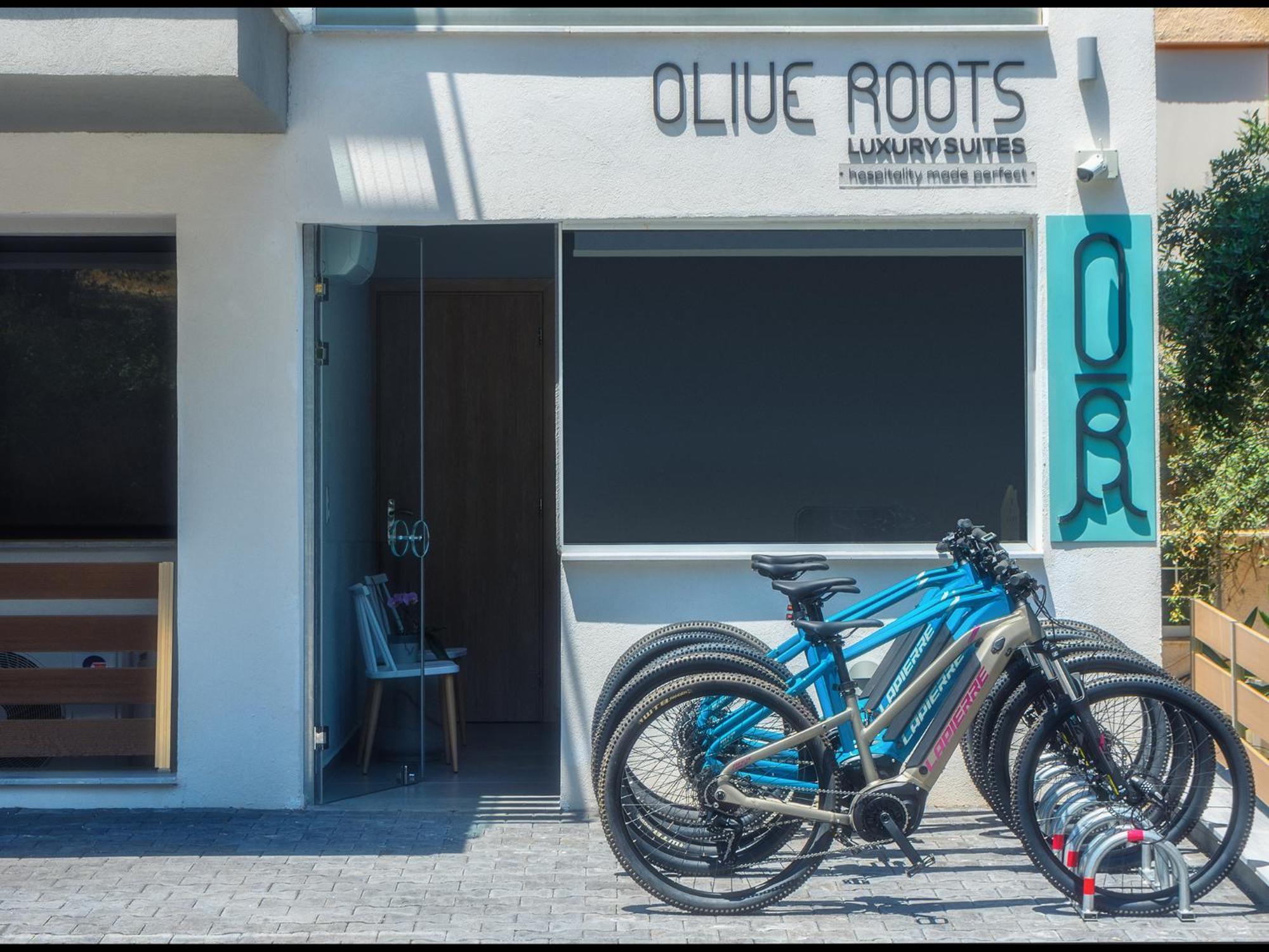 Olive Roots Hotel Skala Rachoni  Luaran gambar