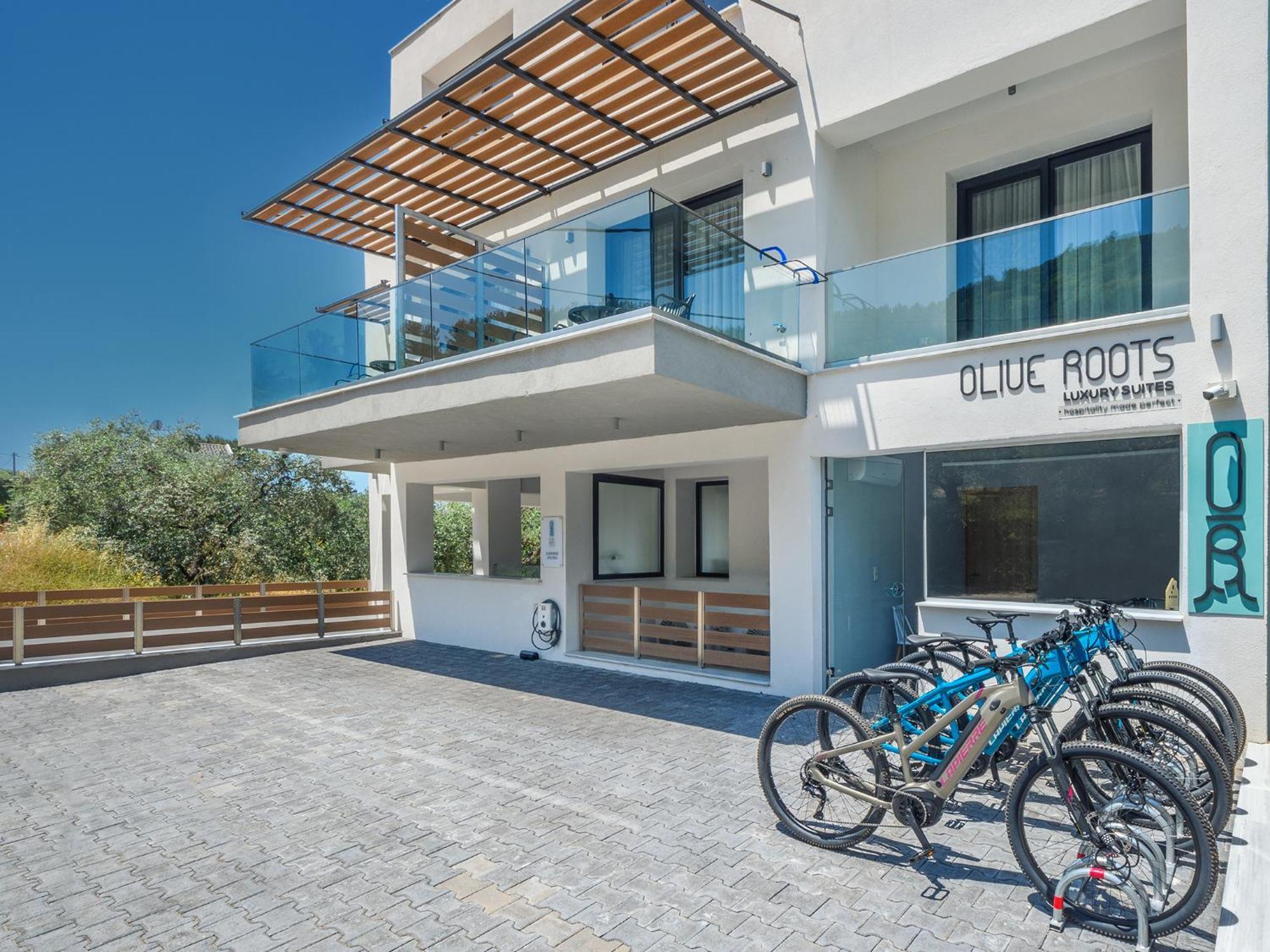 Olive Roots Hotel Skala Rachoni  Luaran gambar